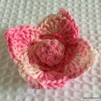Flor Rosa Mariana passo a passo - www.croche.com (45)