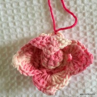 Flor Rosa Mariana passo a passo - www.croche.com (46)