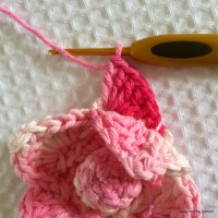 Flor Rosa Mariana passo a passo - www.croche.com (49)