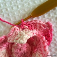 Flor Rosa Mariana passo a passo - www.croche.com (53)