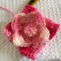 Flor Rosa Mariana passo a passo - www.croche.com (54)