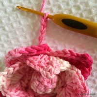 Flor Rosa Mariana passo a passo - www.croche.com (55)