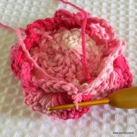 Flor Rosa Mariana passo a passo - www.croche.com (56)