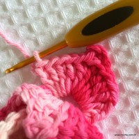 Flor Rosa Mariana passo a passo - www.croche.com (61)