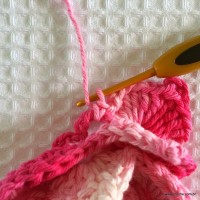 Flor Rosa Mariana passo a passo - www.croche.com (64)