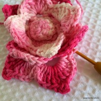 Flor Rosa Mariana passo a passo - www.croche.com (66)