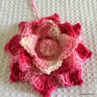 Flor Rosa Mariana passo a passo - www.croche.com (67)