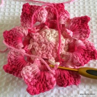 Flor Rosa Mariana passo a passo - www.croche.com (68)