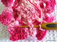 Flor Rosa Mariana passo a passo - www.croche.com (70)