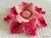 Flor Rosa Mariana passo a passo - www.croche.com (71)