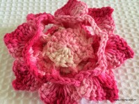 Flor Rosa Mariana passo a passo - www.croche.com (72)