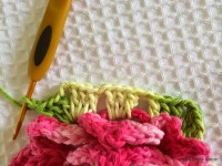 Flor Rosa Mariana passo a passo - www.croche.com (76)