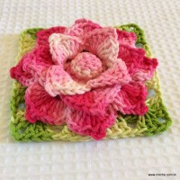 Flor Rosa Mariana passo a passo - www.croche.com (79)