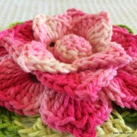 Flor Rosa Mariana passo a passo - www.croche.com (84)