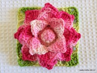 Flor Rosa Mariana passo a passo - www.croche.com (87)