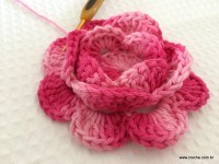 Flor-Roseta-aberta-passo-a-passo-12-200x150