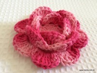 Flor-Roseta-aberta-passo-a-passo-17-200x150