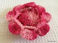 Flor-Roseta-aberta-passo-a-passo-18-200x150