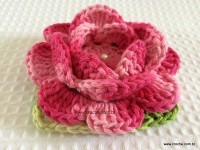 Flor-Roseta-aberta-passo-a-passo-24-200x150