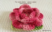 Flor-Roseta-aberta-passo-a-passo-25-200x124