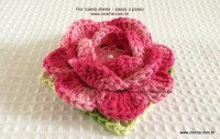 Flor-Roseta-aberta-passo-a-passo-26-200x127