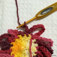 Flor anelada passo a passo - www.croche.com (15)