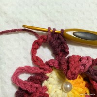 Flor anelada passo a passo - www.croche.com (16)