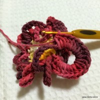 Flor anelada passo a passo - www.croche.com (22)