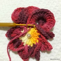 Flor anelada passo a passo - www.croche.com (23)