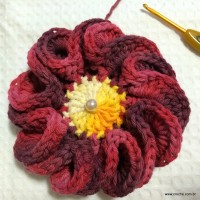 Flor anelada passo a passo - www.croche.com (24)