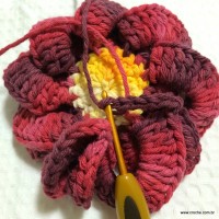 Flor anelada passo a passo - www.croche.com (27)