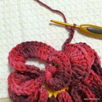 Flor anelada passo a passo - www.croche.com (28)