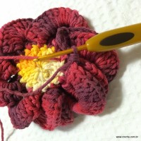 Flor anelada passo a passo - www.croche.com (29)