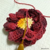 Flor anelada passo a passo - www.croche.com (30)