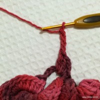 Flor anelada passo a passo - www.croche.com (34)