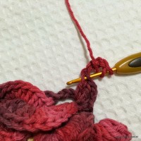 Flor anelada passo a passo - www.croche.com (35)