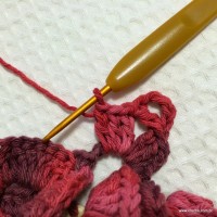 Flor anelada passo a passo - www.croche.com (37)