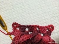 Flor anelada passo a passo - www.croche.com (40)