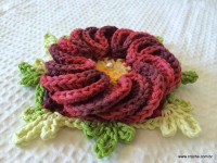 Flor anelada passo a passo - www.croche.com (53)