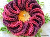 Flor anelada passo a passo - www.croche.com (57)