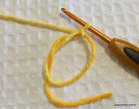 Flor anis dupla passo a passo - www.croche.com (1)