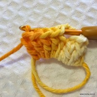 Flor anis dupla passo a passo - www.croche.com (11)