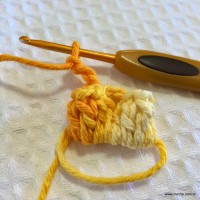 Flor anis dupla passo a passo - www.croche.com (12)