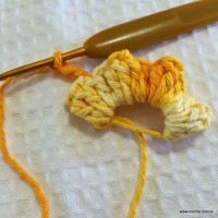 Flor anis dupla passo a passo - www.croche.com (13)