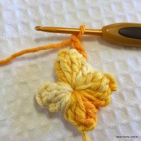 Flor anis dupla passo a passo - www.croche.com (14)