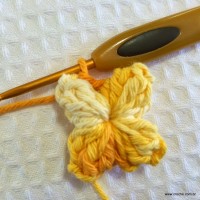 Flor anis dupla passo a passo - www.croche.com (15)