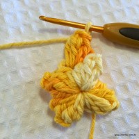 Flor anis dupla passo a passo - www.croche.com (16)