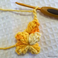 Flor anis dupla passo a passo - www.croche.com (17)