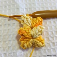 Flor anis dupla passo a passo - www.croche.com (18)