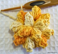 Flor anis dupla passo a passo - www.croche.com (19)